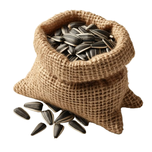 Подсолнух